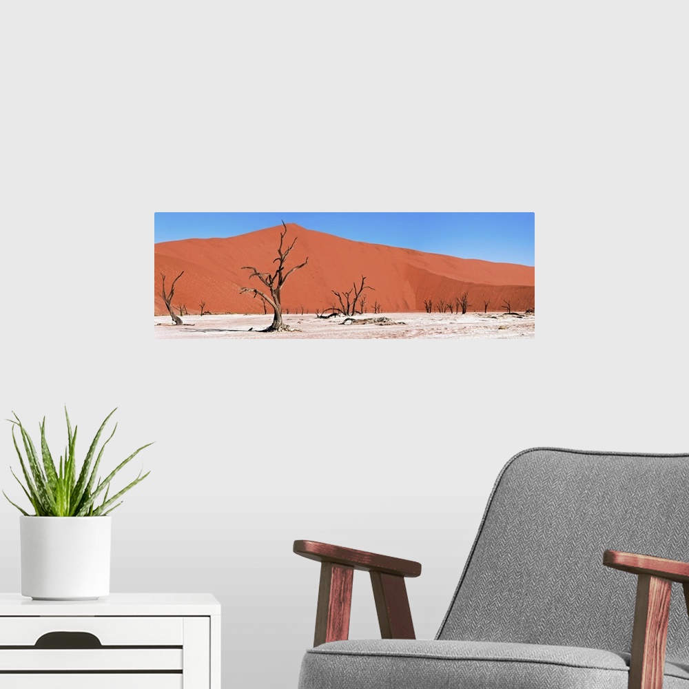 A modern room featuring Namib Desert, Namibia, Africa