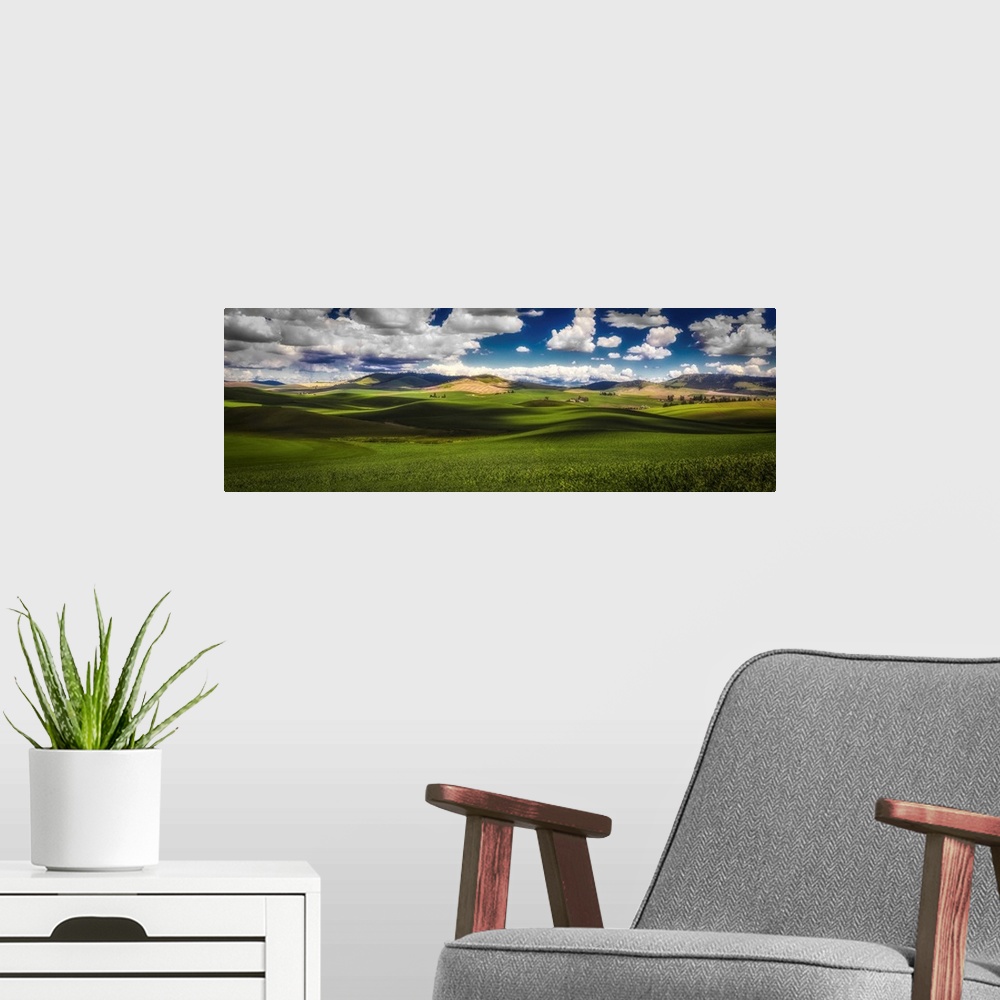 A modern room featuring Sunlit Rolling Hills With Green Grain Fields And White Puffy Clouds, Palouse, Washington