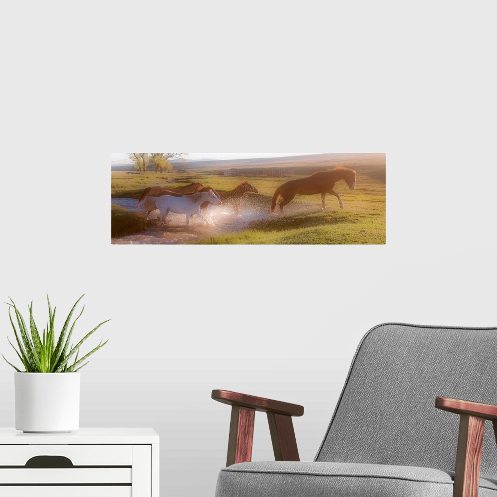 A modern room featuring Photograph of horses crossing a river in the middle of a field at sunset.