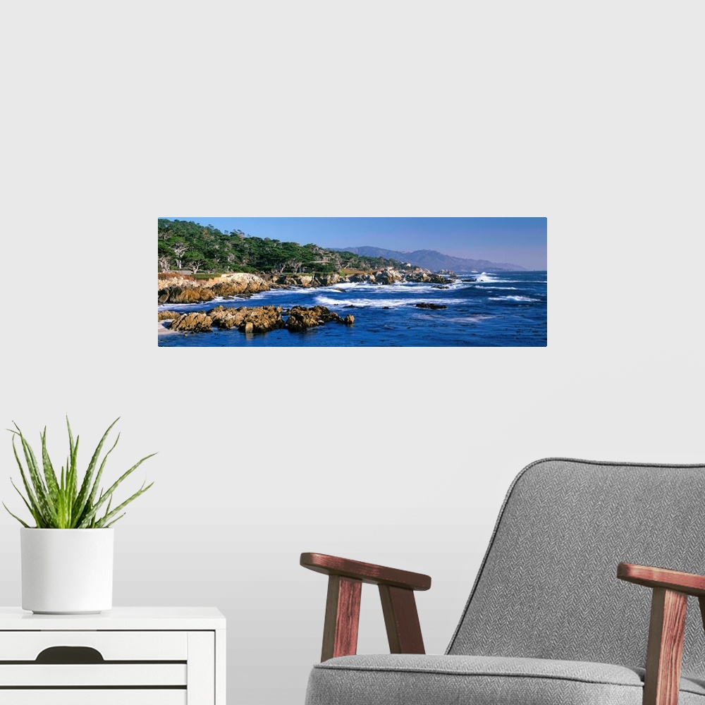 A modern room featuring CA, Monterey Peninsula, Carmel, 17-Mile Drive at Pebble Beach, Harbor Seals