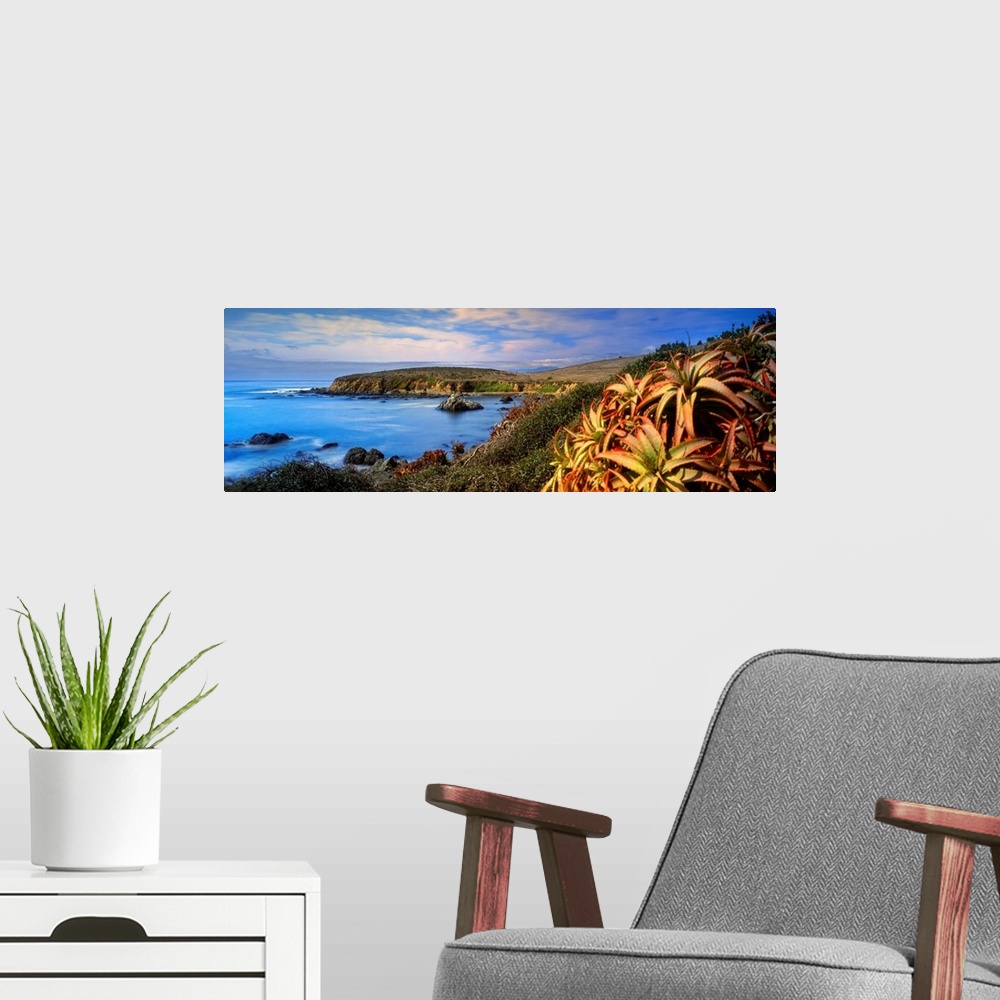 A modern room featuring California, Pacific ocean, Big Sur, Late afternoon light over a rugged coastline