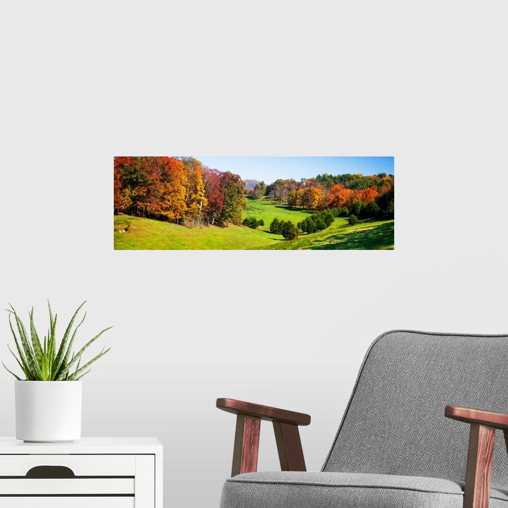 A modern room featuring Rolling Autumn Hills -1