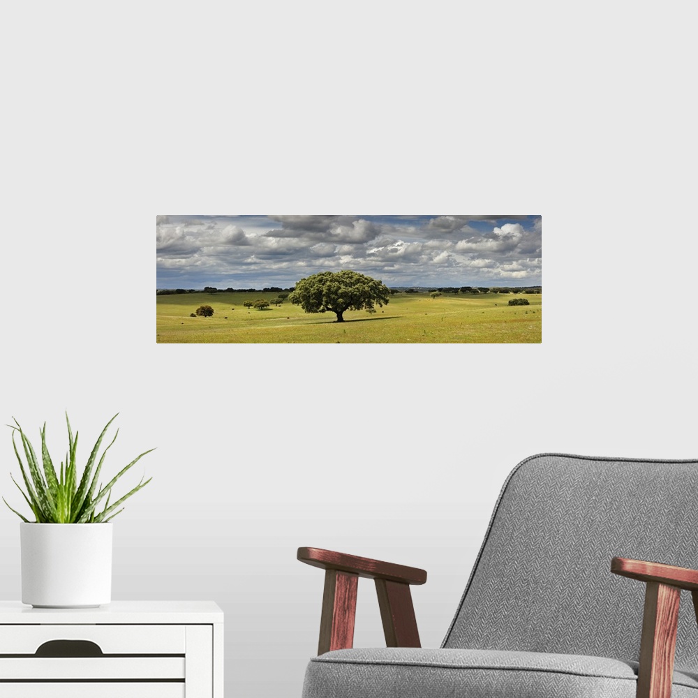 A modern room featuring Holm oaks in the vast plains of Alentejo. Portugal