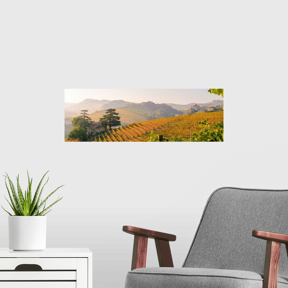 A modern room featuring Italy, Piedmont, Cuneo District, Barolo, Langhe Barolo At Sunrise