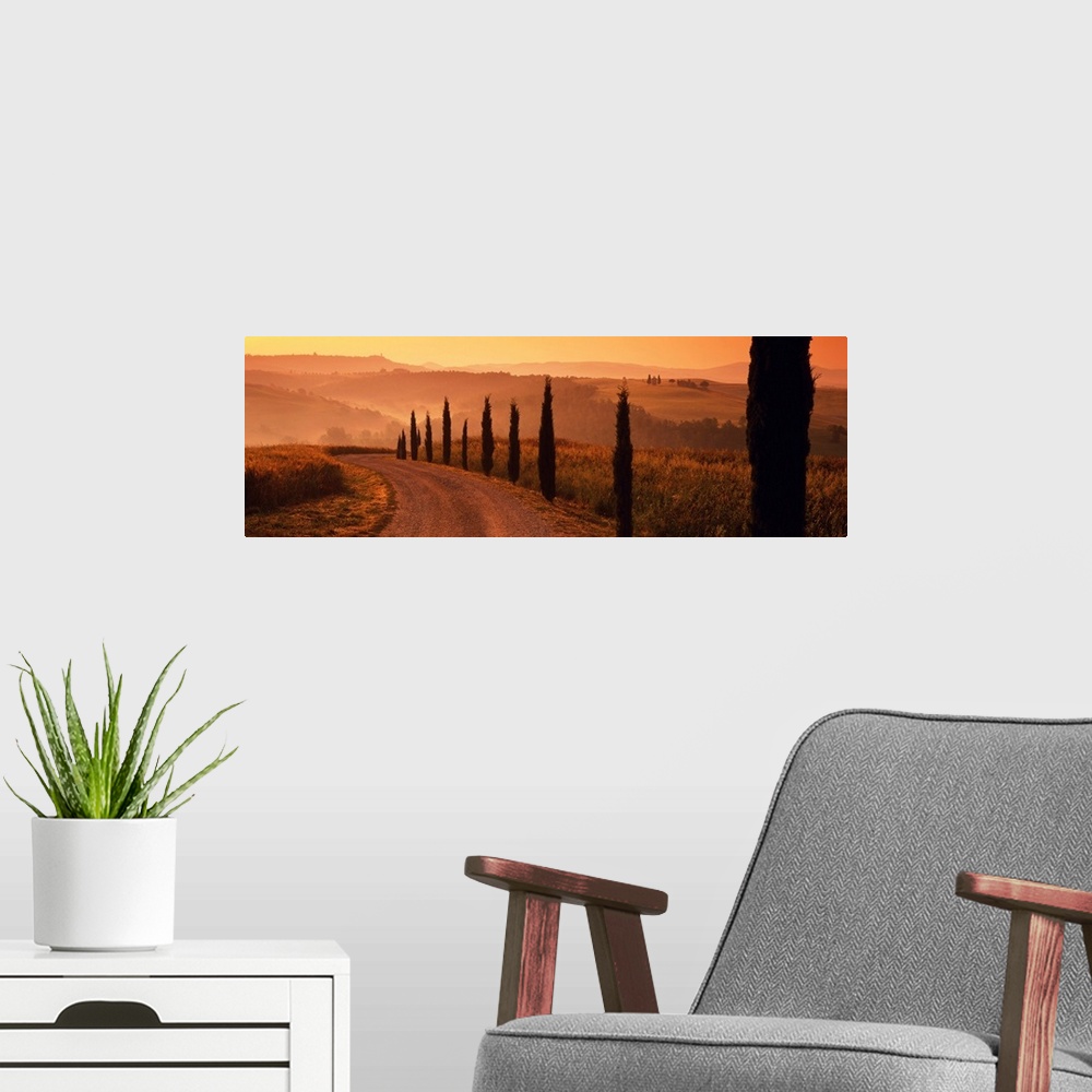 A modern room featuring Road And Cypress Trees, Val D' Orcia, Tuscany, Italy