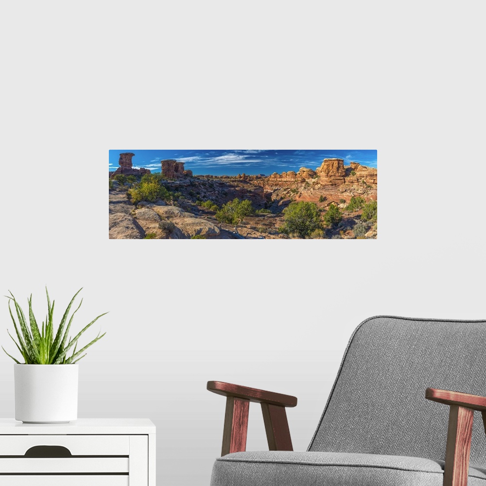 A modern room featuring USA, Utah, Canyonlands National Park, The Needles District, Big Spring Canyon Overlook.