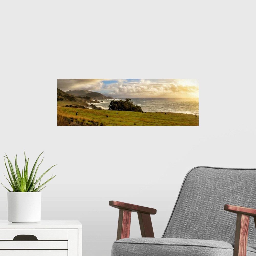 A modern room featuring Cows graze at sunset in a field near Rocky Point in Big Sur. In the distance is the Rocky Creek B...
