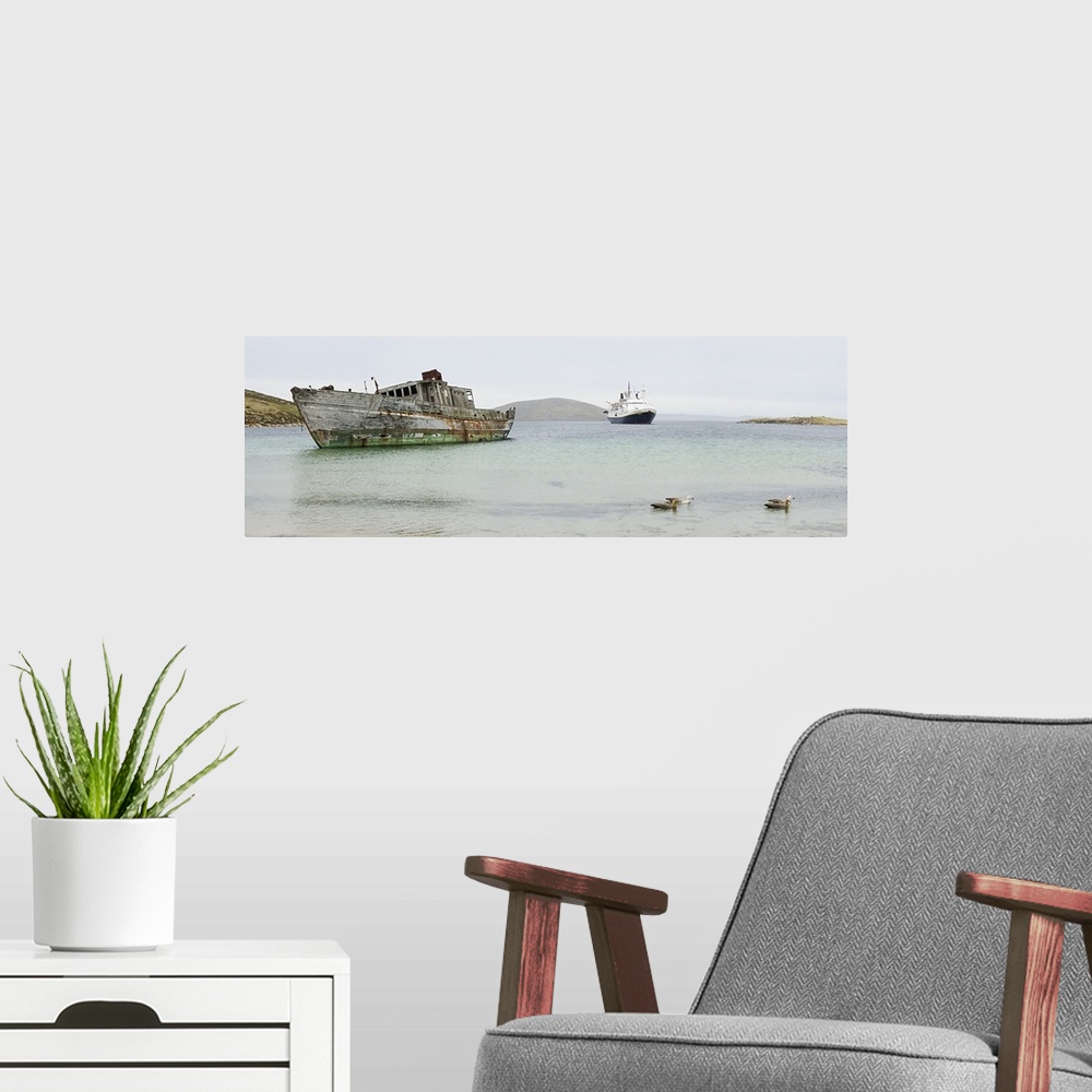 A modern room featuring Abandoned shipwreck along shoreline with new cruise ship, Falkland Islands