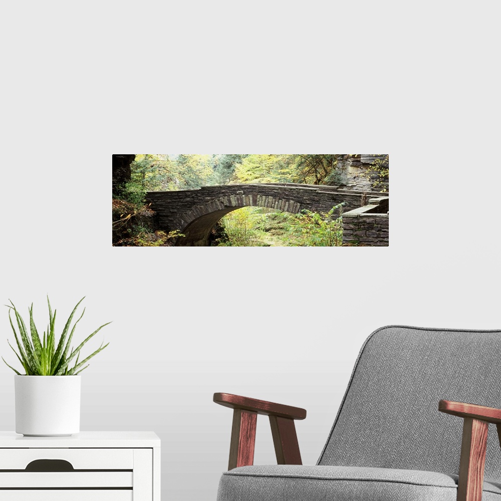 A modern room featuring Arch bridge in a forest Robert H. Treman State Park Ithaca Tompkins County Finger Lakes New York ...