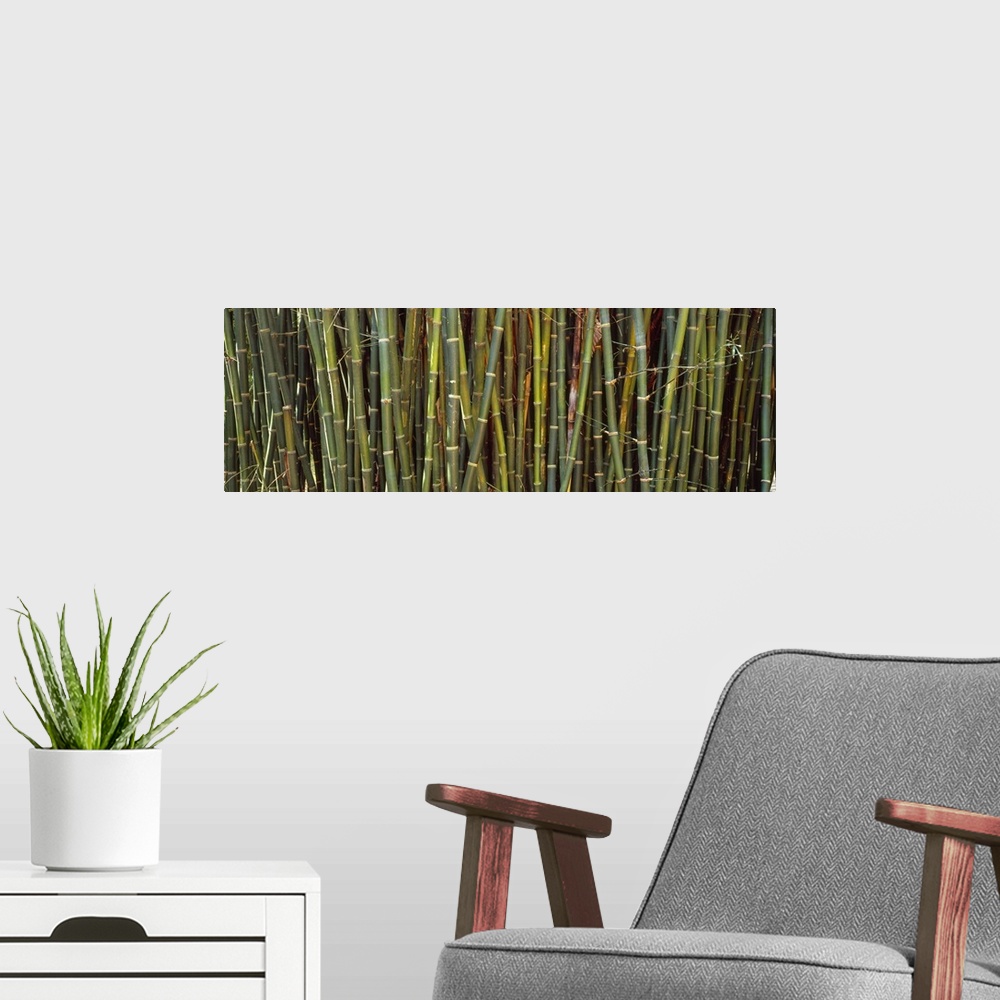 A modern room featuring Long image of bamboo printed onto canvas.