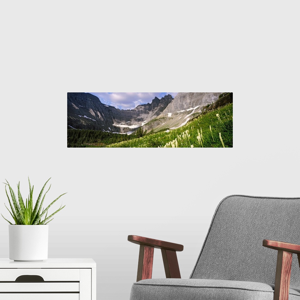 A modern room featuring Beargrass with mountains in the background, US Glacier National Park, Montana