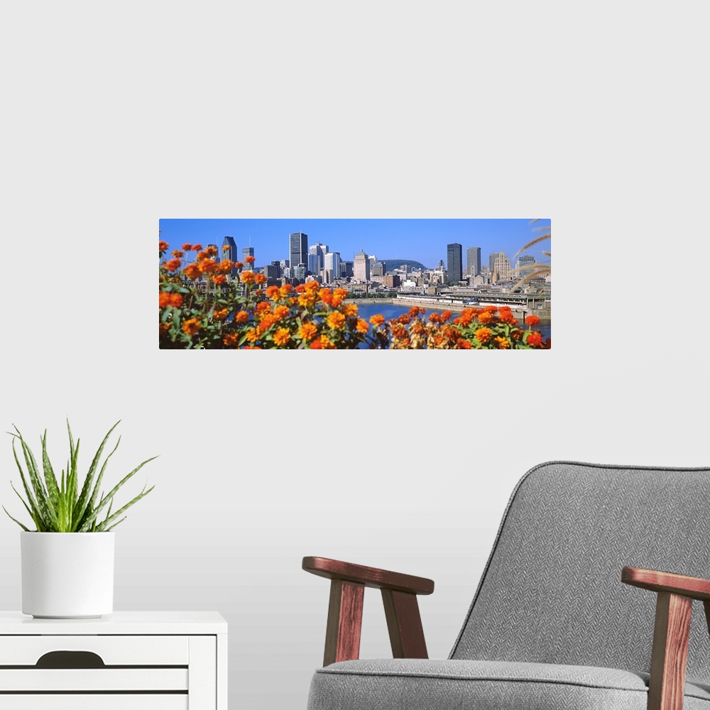 A modern room featuring Blooming flowers with city skyline in the background, Montreal, Quebec, Canada