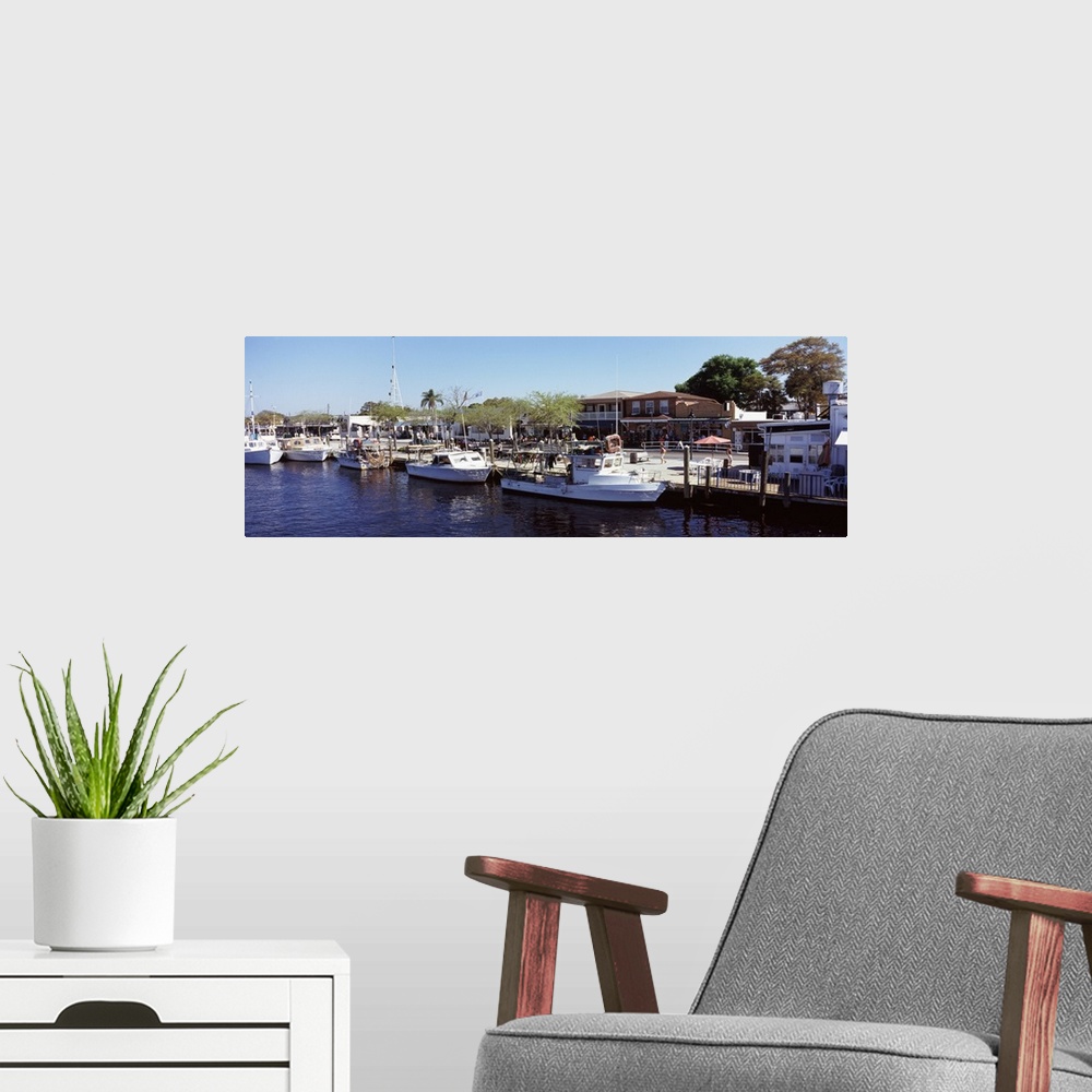 A modern room featuring Boats moored at a harbor Tarpon Springs Pinellas County Florida