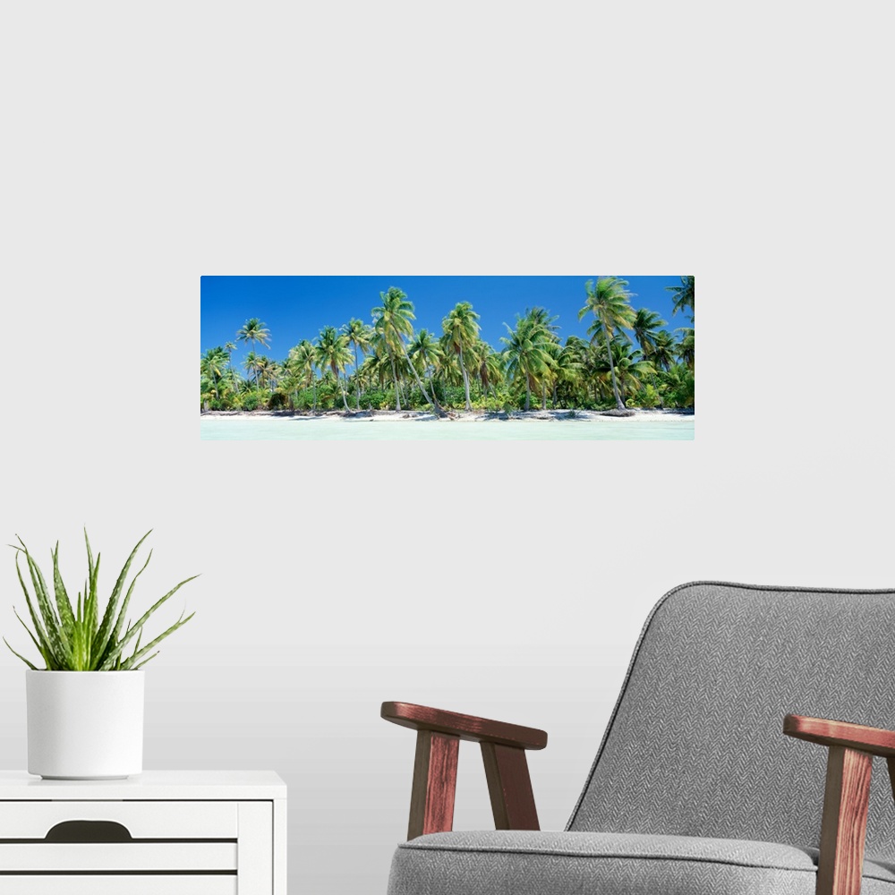 A modern room featuring Bora Bora Tahiti