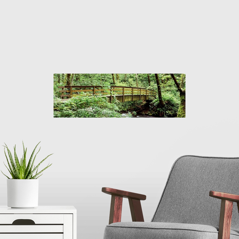 A modern room featuring Bridge in a forest Bridal Veil Falls Oregon Columbia Gorge National Scenic Area Columbia River Go...