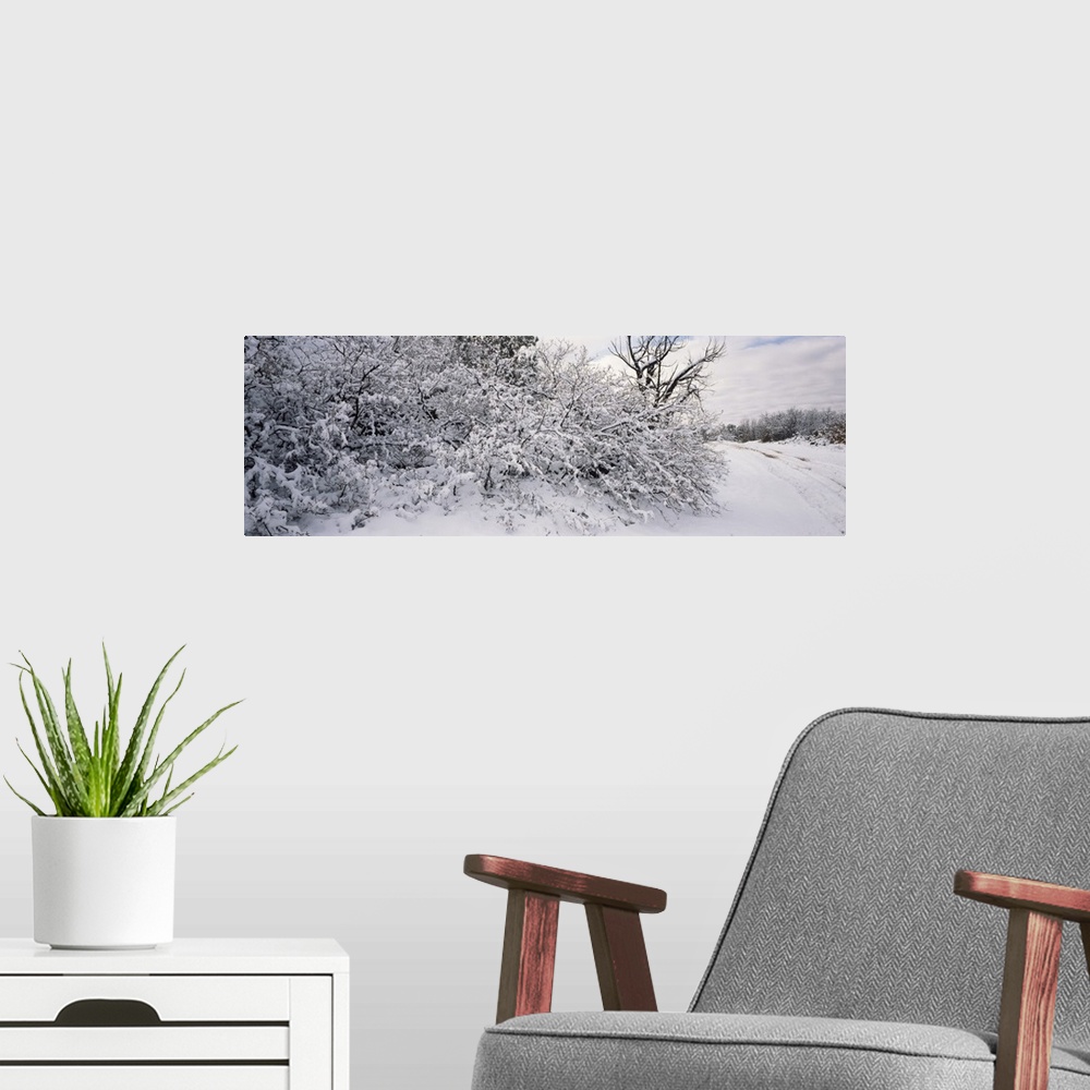 A modern room featuring Bushes covered with snow, La Sal Mountains, Moab, Utah