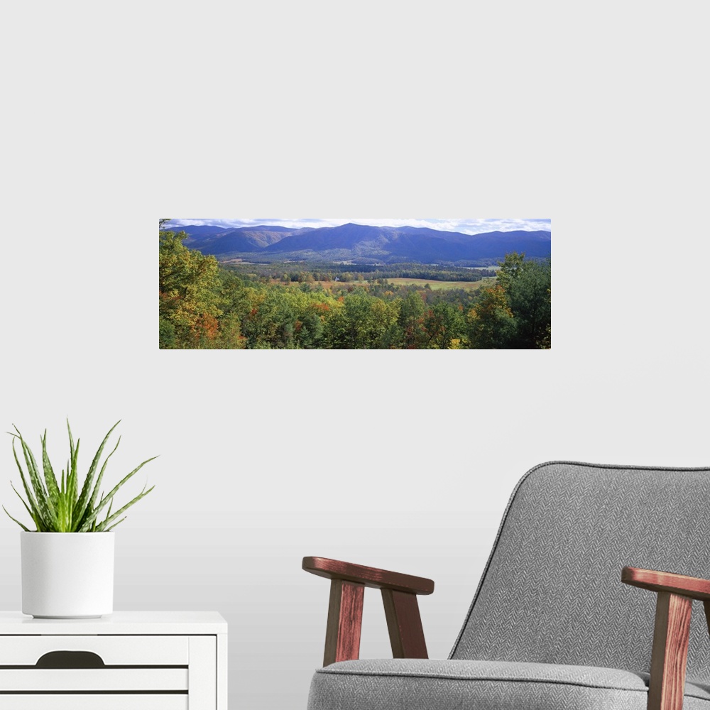 A modern room featuring Cades Cove, Great Smoky Mountains National Park, Tennessee