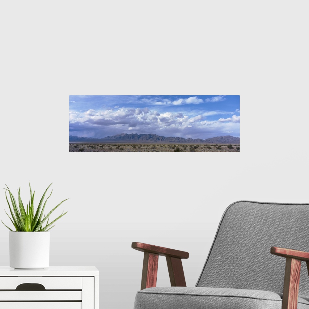 A modern room featuring California, Mojave Desert, Sheep Hole Mountains