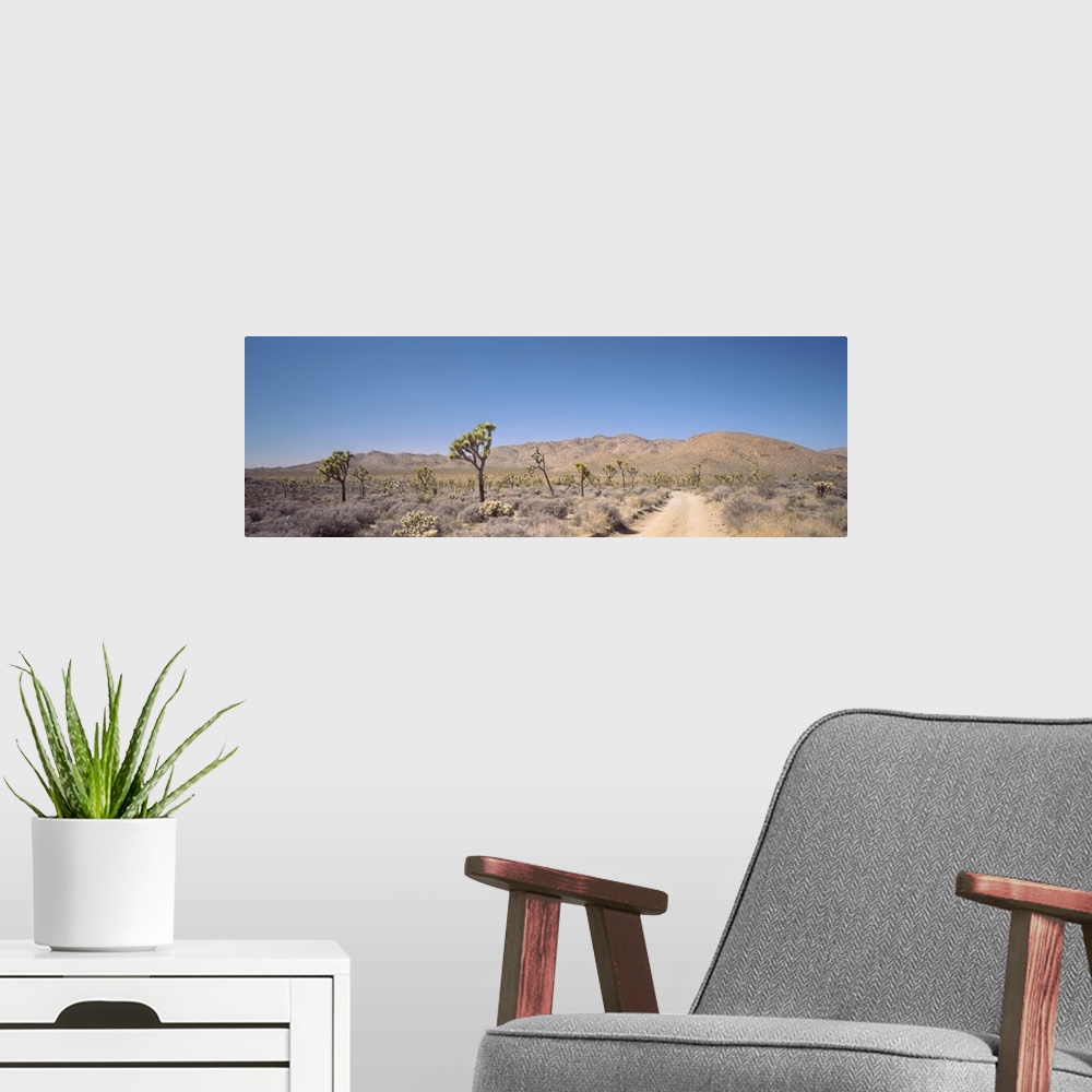 A modern room featuring California, Sierra Nevada, Alabama Hills, Road passing through an arid landscape