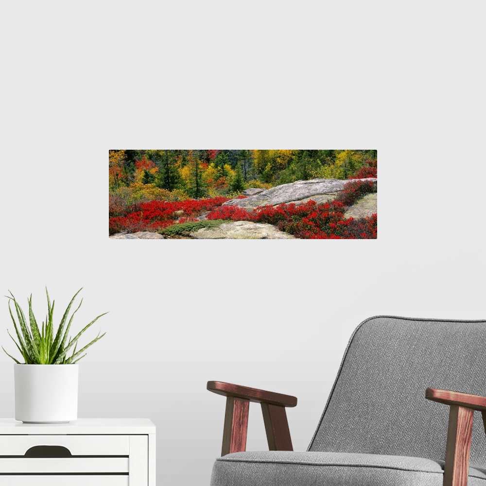A modern room featuring Panoramic photograph shows a large rock face interspersed with brightly colored flowers between t...