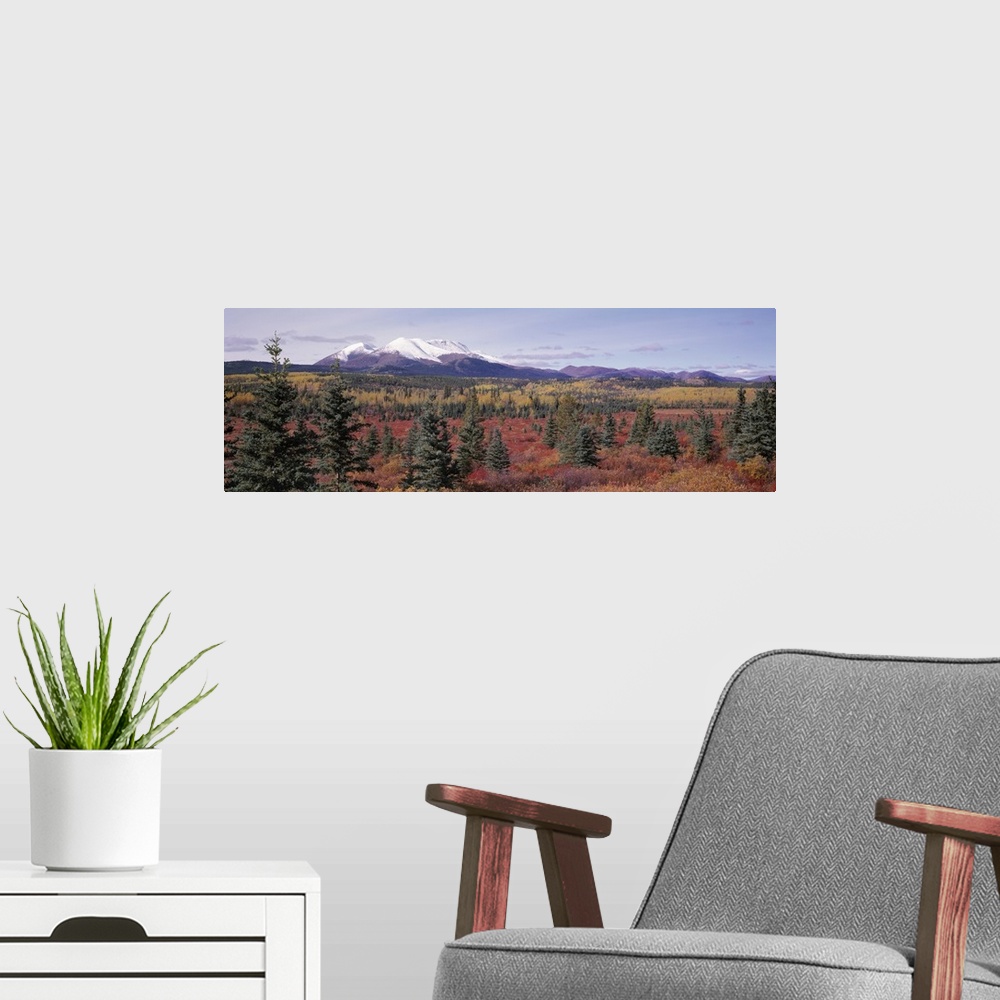 A modern room featuring Canada, Yukon Territory, View of pines trees in a valley