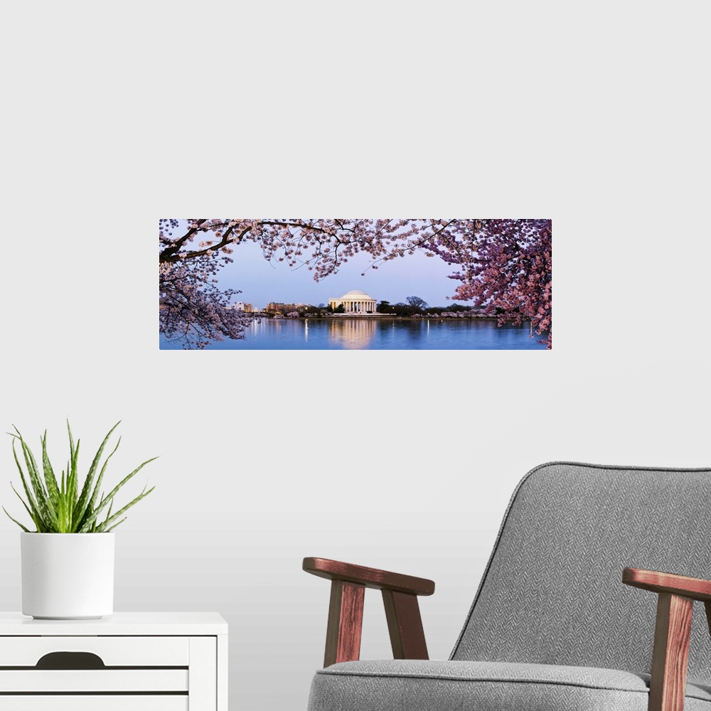 A modern room featuring Cherry Blossom trees with Jefferson Memorial, Washington DC
