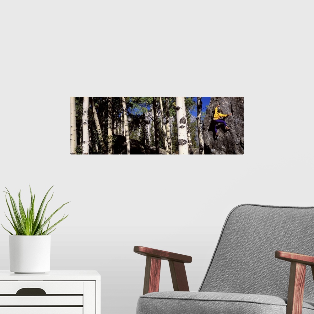 A modern room featuring Climber Aspens Grand Teton National Park WY