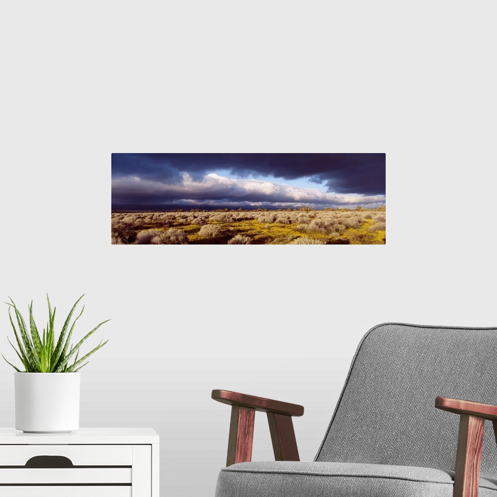 A modern room featuring Clouds Mojave Desert CA