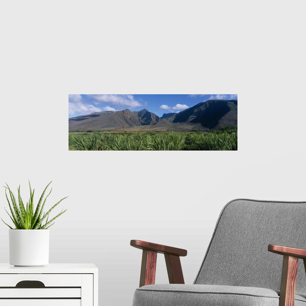 A modern room featuring Clouds over a sugar cane field, West Maui Mountains, Maui, Hawaii