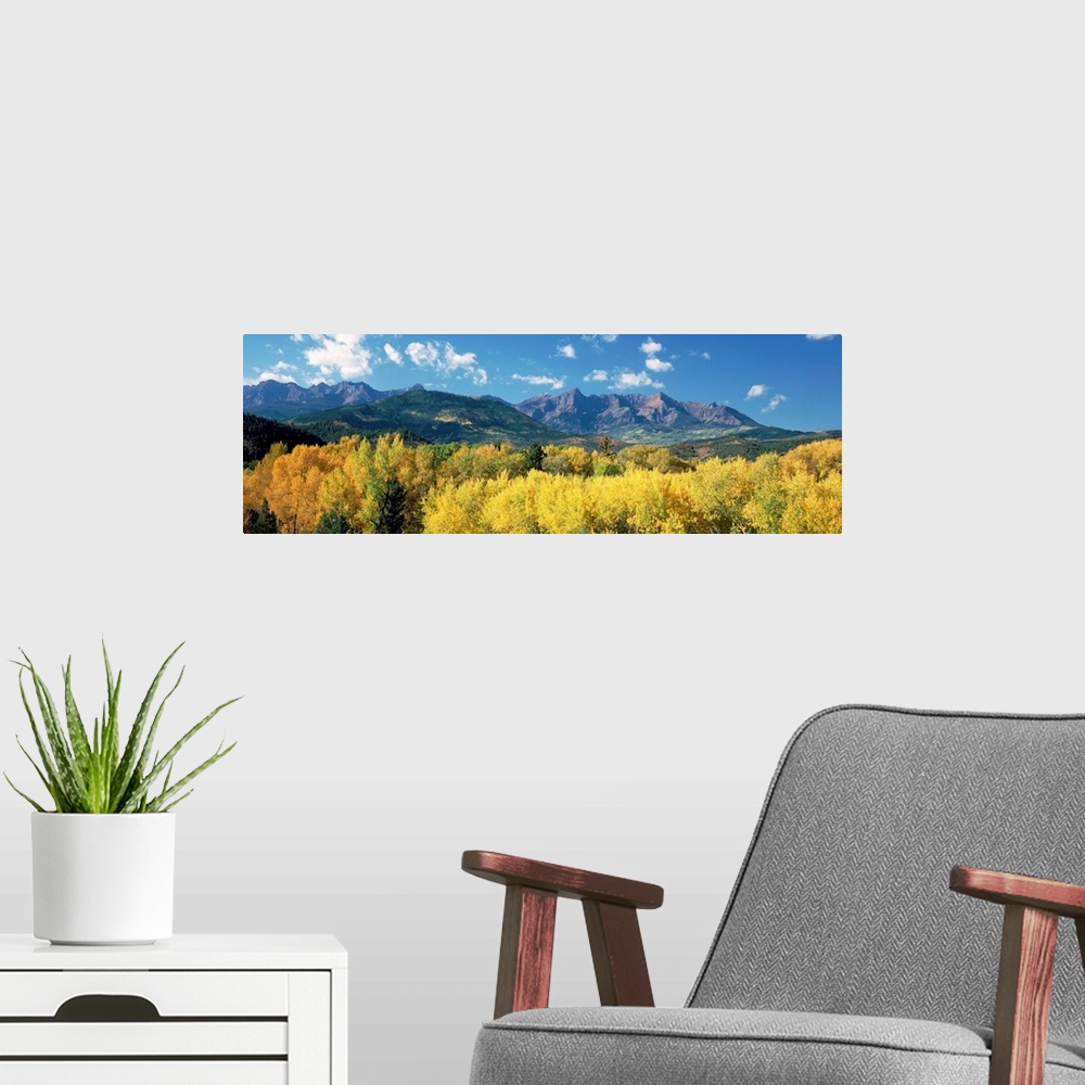 A modern room featuring Colorado, Uncompahgre National Forest