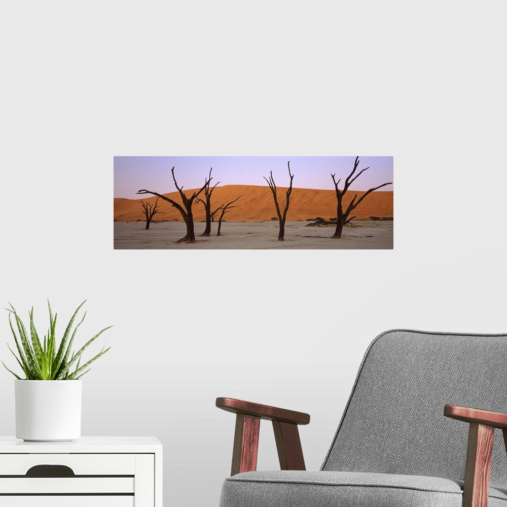 A modern room featuring Dead trees in a desert at sunrise Dead Vlei Sossusvlei Namib Naukluft National Park Namibia