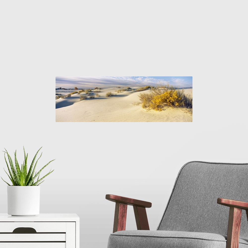 A modern room featuring Desert plants in a desert White Sands National Monument New Mexico