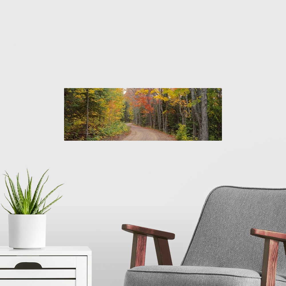 A modern room featuring Dirt road passing through autumn forest, Keweenaw Peninsula, Michigan,