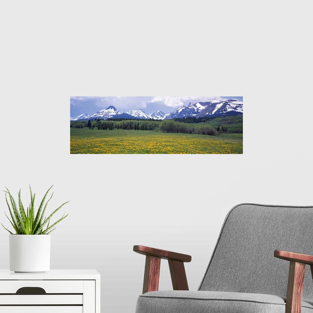 A modern room featuring Panoramic view of a snow covered mountain range with a thick forest in front and a flower covered...