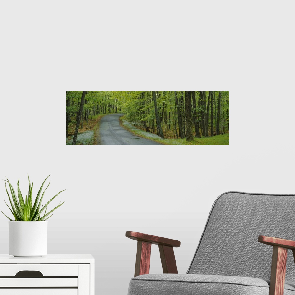 A modern room featuring Empty road passing through a forest, Peninsula State Park, Door County, Wisconsin