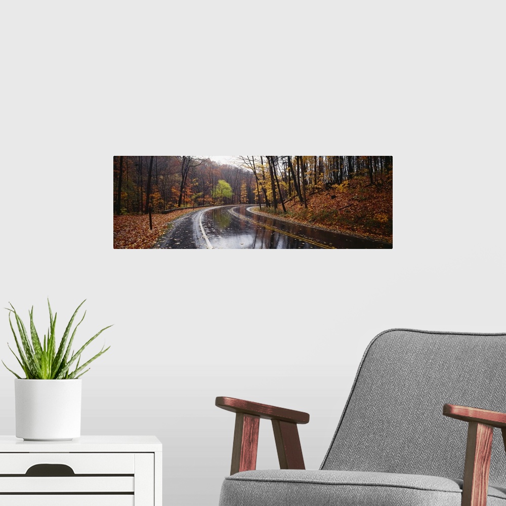 A modern room featuring A two lane road passes through a hilly forest where the pavement glistens from recent rain, dotte...