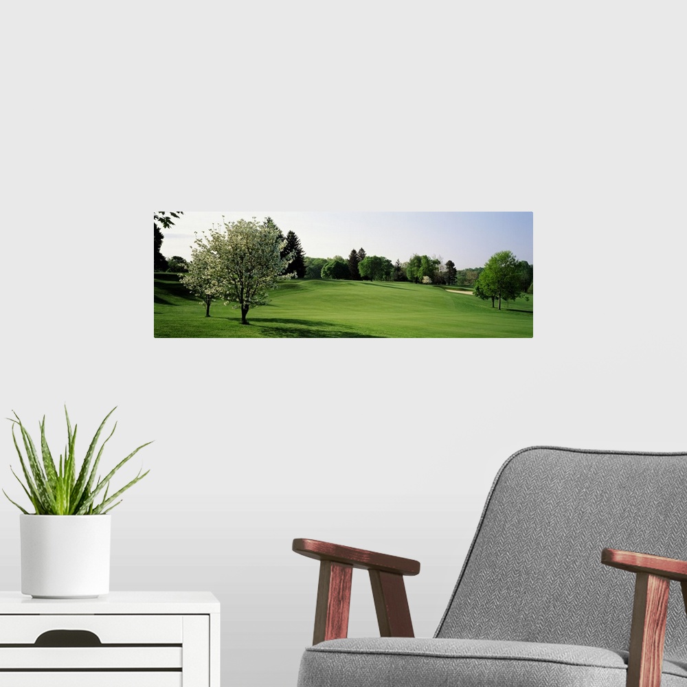 A modern room featuring Fairway w\ 2 white Dogwood trees Baltimore Country Club Five Farms Course MD USA