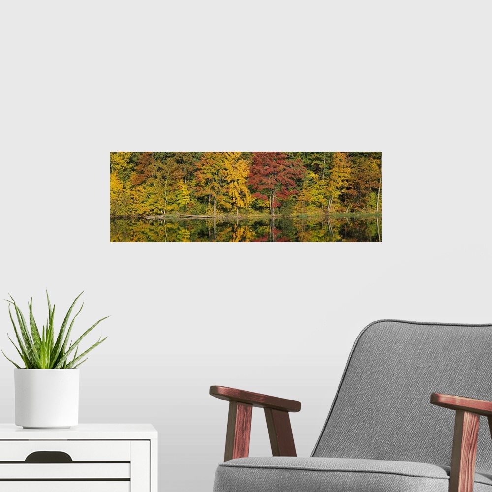 A modern room featuring Fall Foliage Saratoga Springs NY