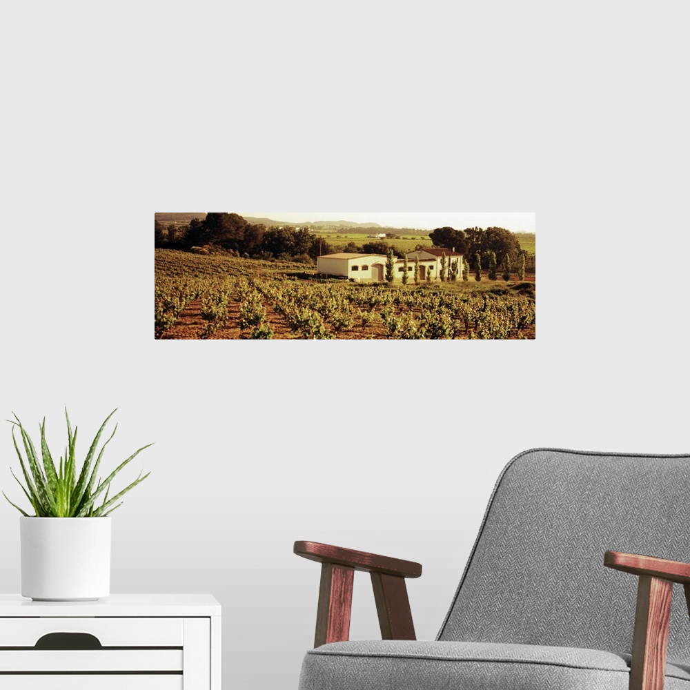A modern room featuring Farmhouses in a vineyard, Penedes, Catalonia, Spain