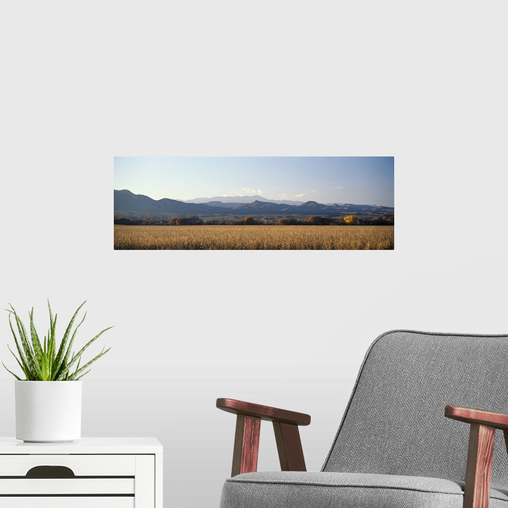 A modern room featuring A panoramic landscape of mountains and fields in New Mexico's wildlife refuge Bosque del Apache.