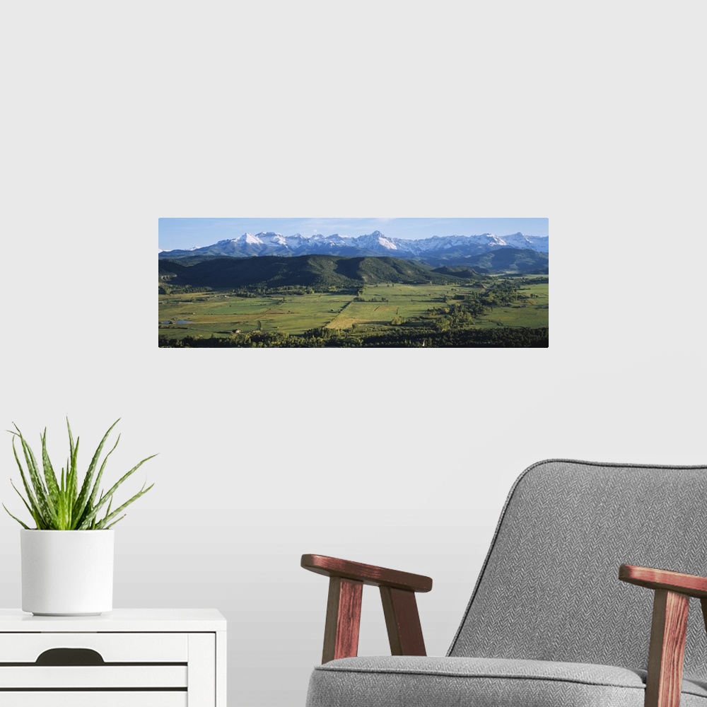 A modern room featuring Field in front of mountains, Sneffels Range, Colorado