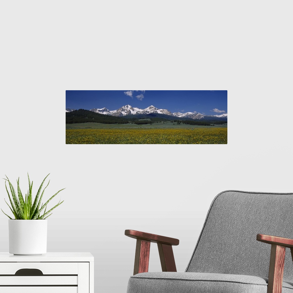 A modern room featuring Panoramic photograph of meadow with forest and snow covered forest in the distance under a cloudy...