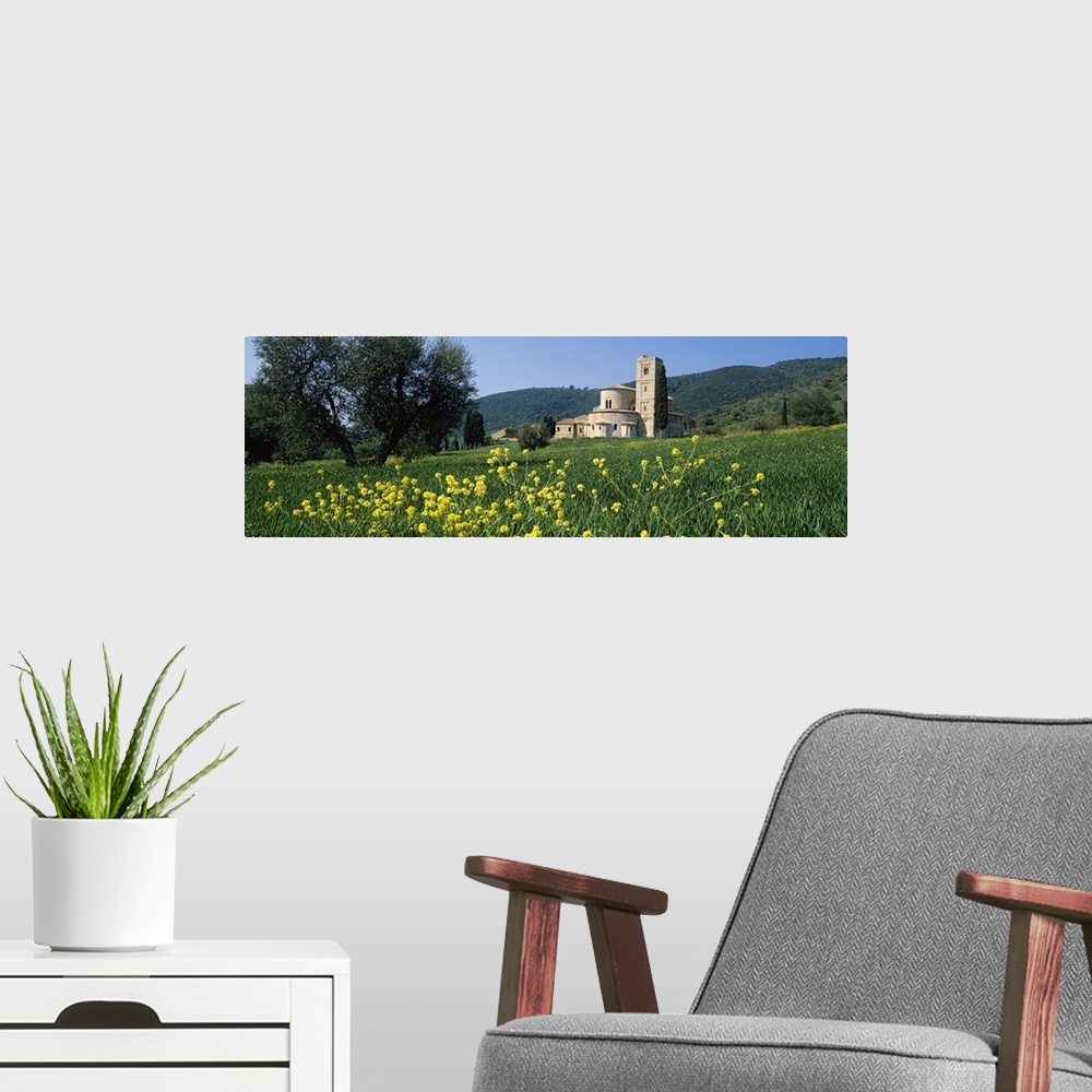 A modern room featuring Flowers in a field with a church in the background, San Antimo Abbey, San Antimo, Tuscany, Italy