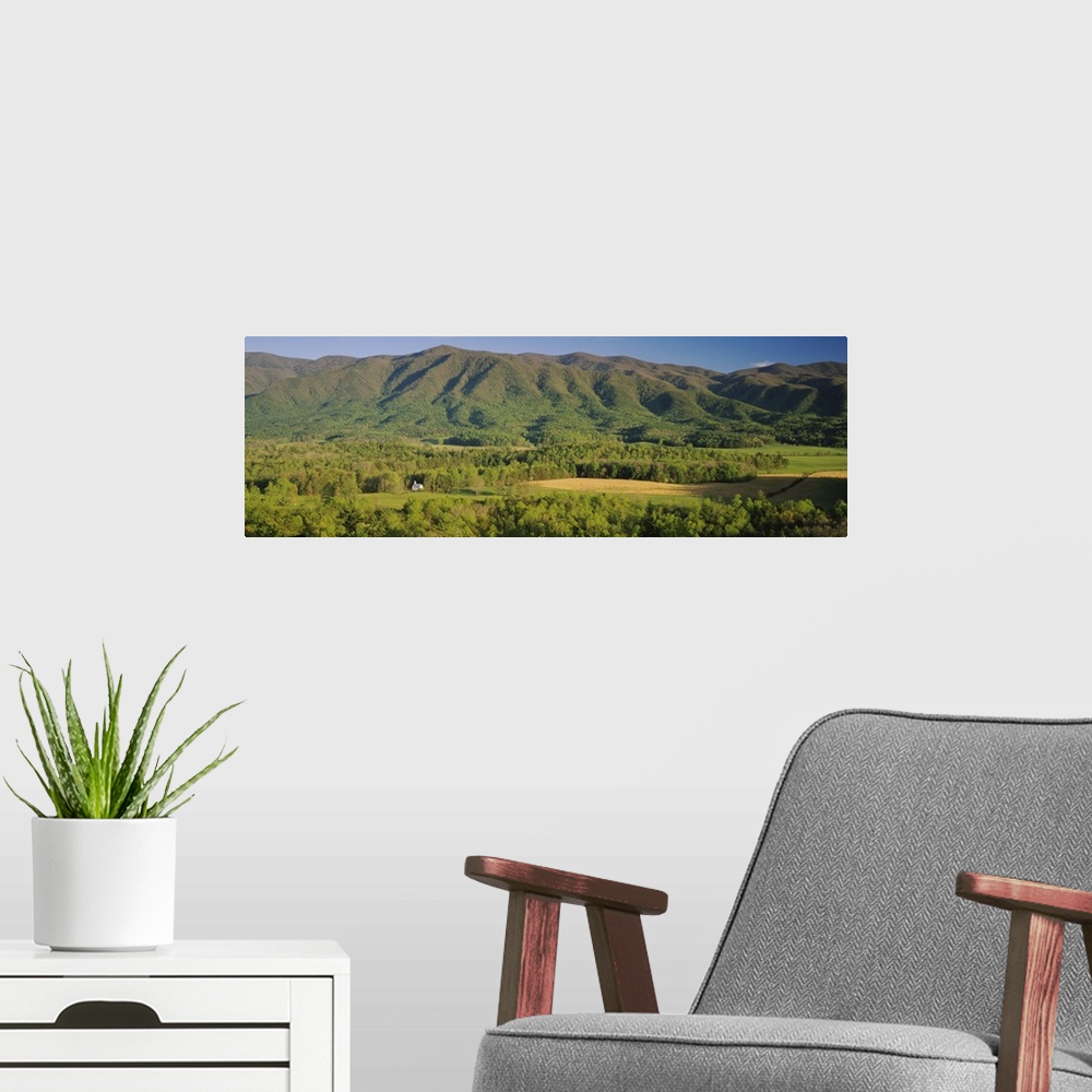 A modern room featuring Forest on a hillside, Cades Cove, Great Smoky Mountains National Park, Tennessee