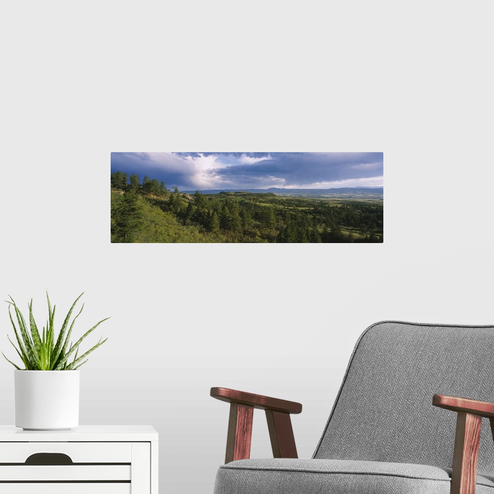 A modern room featuring Forest on a hillside, View from Daniels Park, Castle Pines Golf Club, Colorado