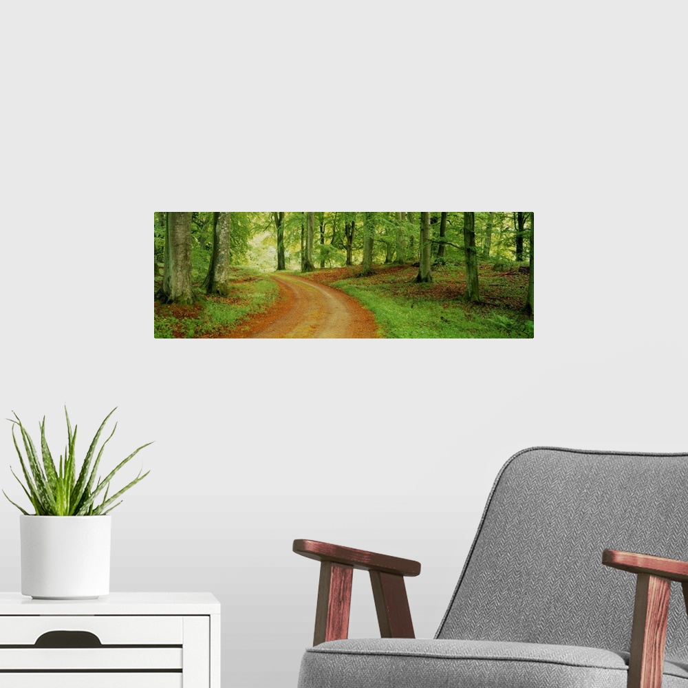 A modern room featuring Forest Path