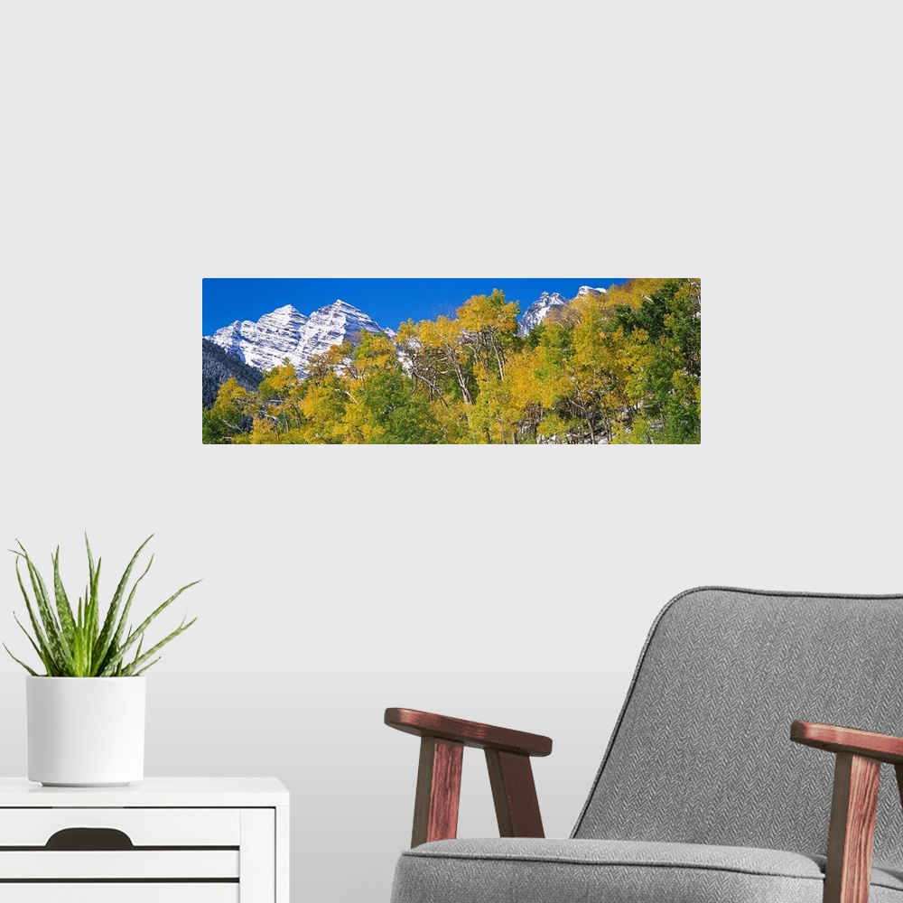 A modern room featuring The Maroon Bells mountain range behind a row of brightly colored trees in Aspen, Colorado.