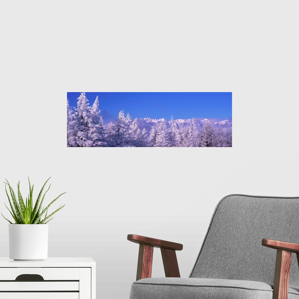 A modern room featuring Frost on Trees Northern Alps (Matsumoto ) Nagano Japan