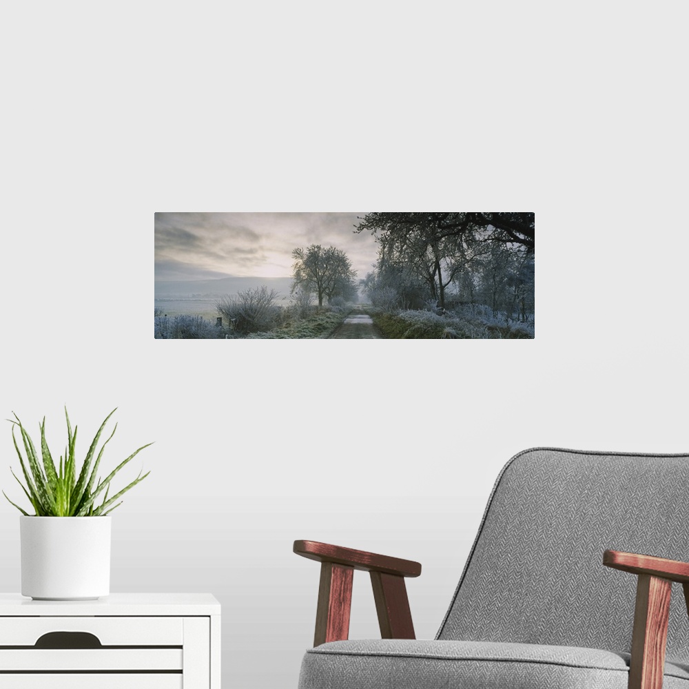 A modern room featuring Horizontal photograph on a big canvas of a narrow road running through a wooded area covered in f...