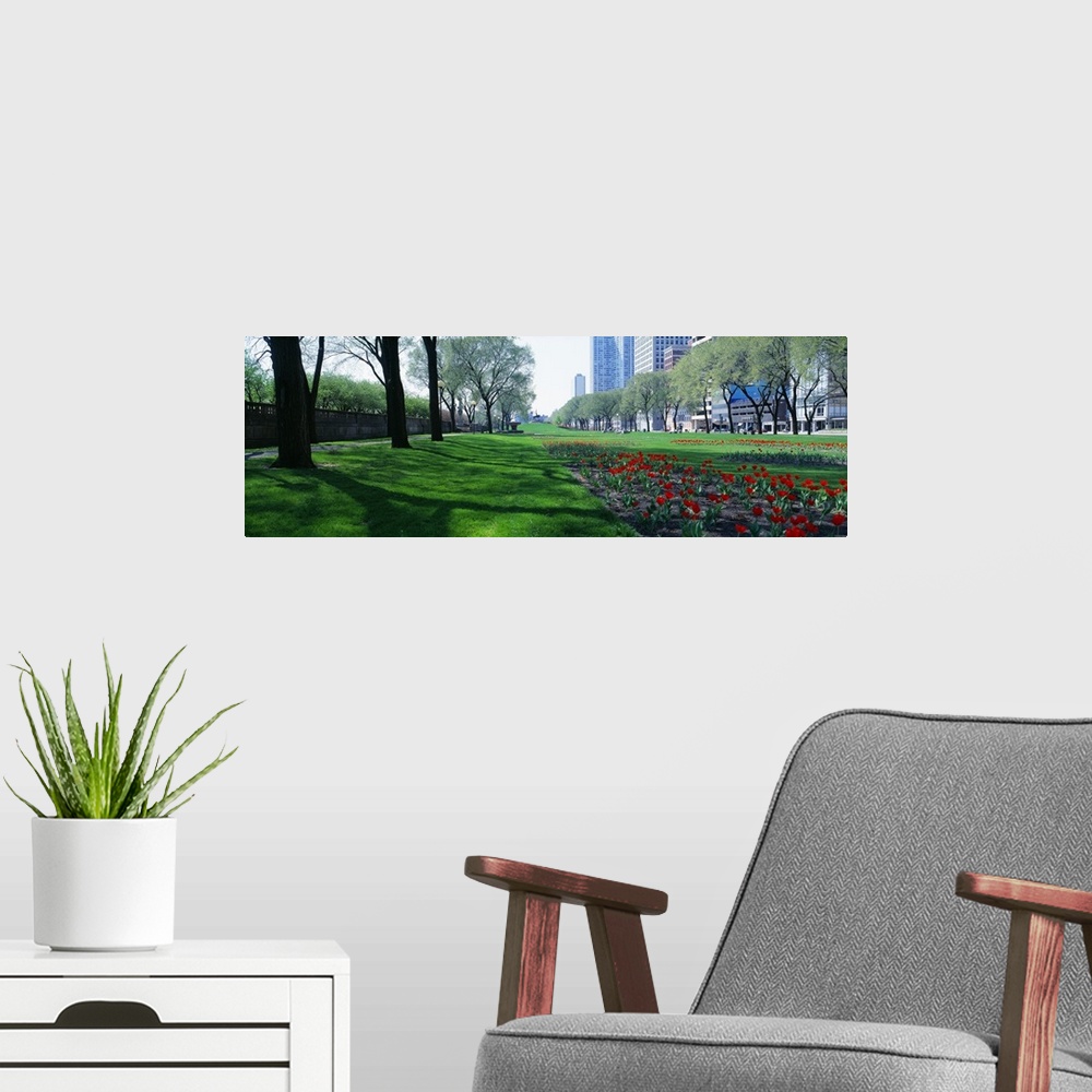 A modern room featuring Wide angle view of planted flowers in a long open field that is lined by tall trees.